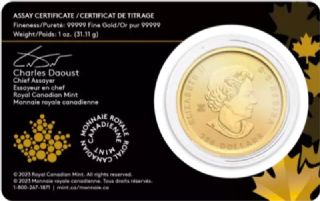 200 Dollari - Klondike 2023